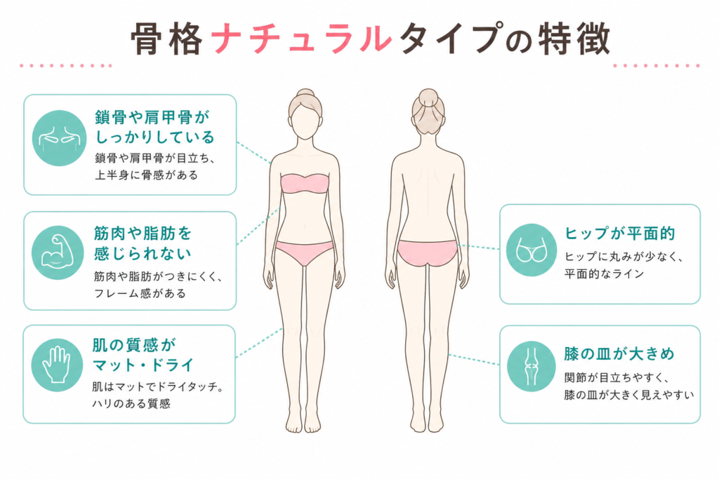骨格ナチュラルの特徴解説。フレーム感、関節の大きさ、筋肉や脂肪のつき方、肌質などから似合う服の傾向をわかりやすく説明した図解