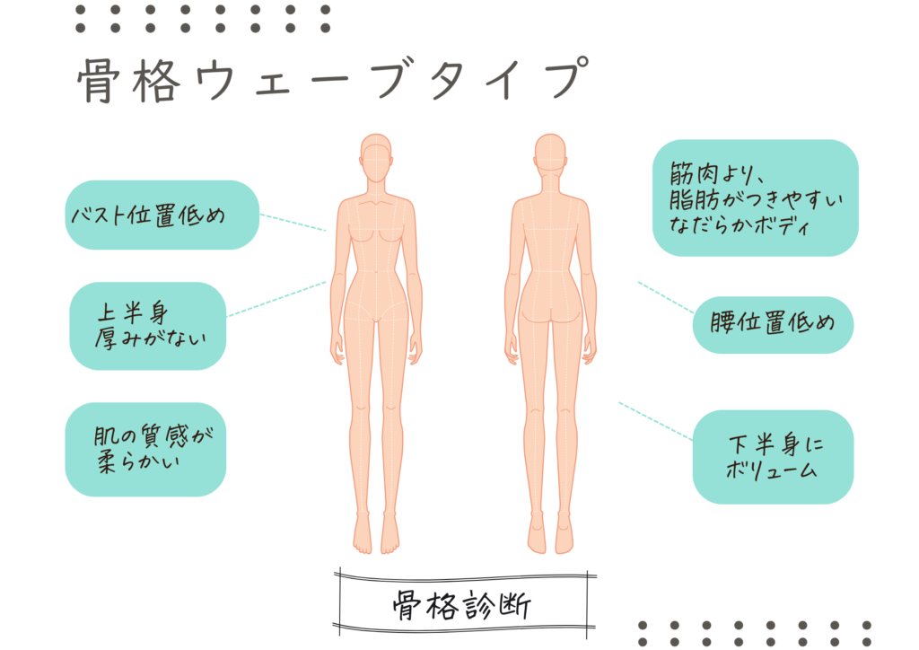 骨格診断　ウェーブタイプ