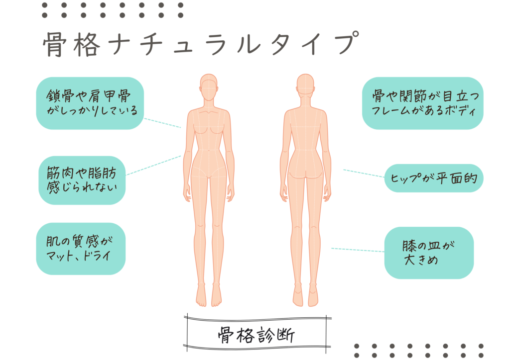 骨格診断　ナチュラルタイプ