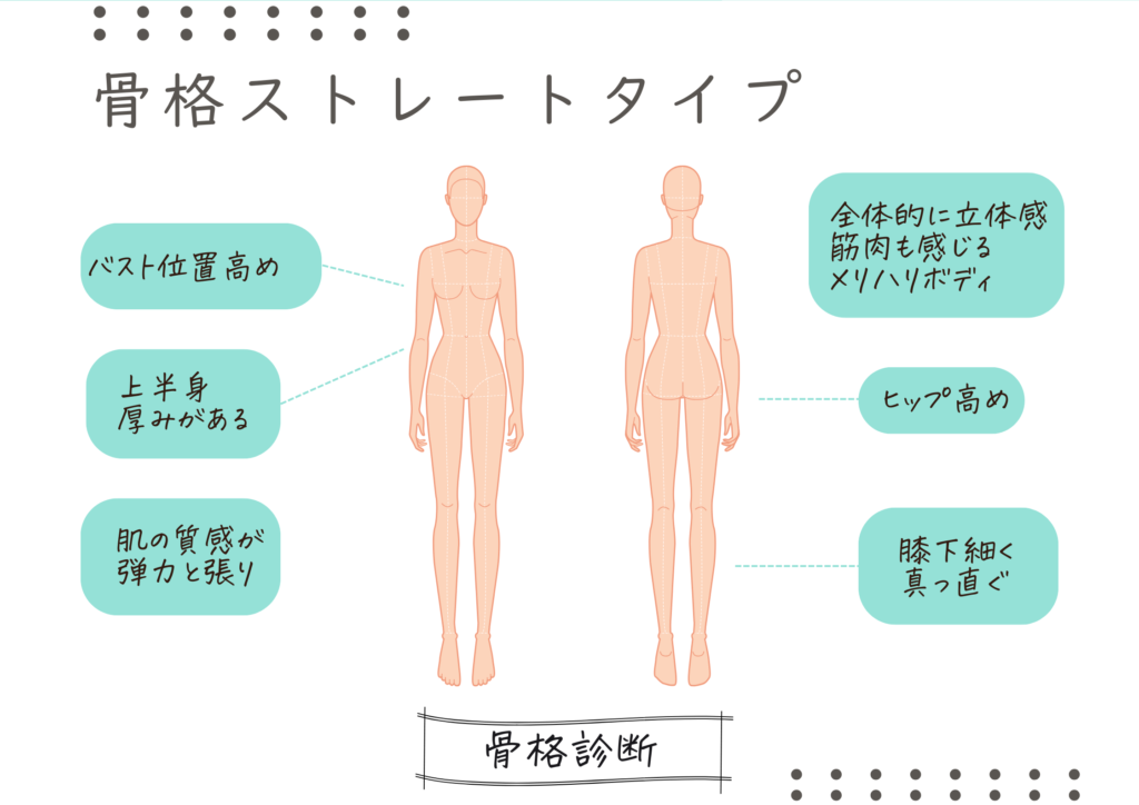 骨格診断　ストレートタイプ