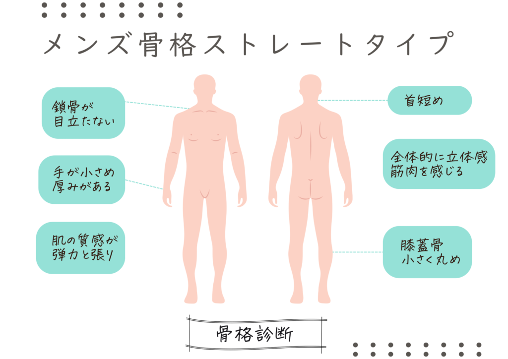 メンズ骨格診断　メンズ骨格ストレートタイプ　体の特徴