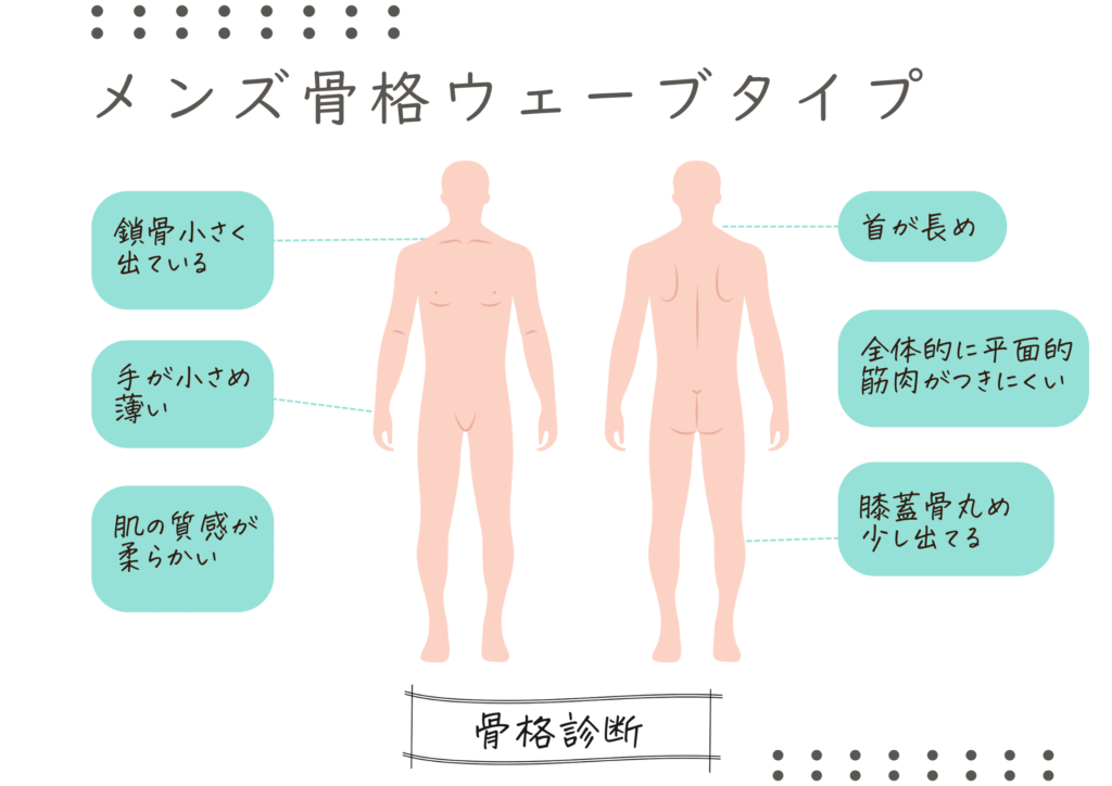 メンズ骨格診断　メンズ骨格ウェーブタイプ　体の特徴