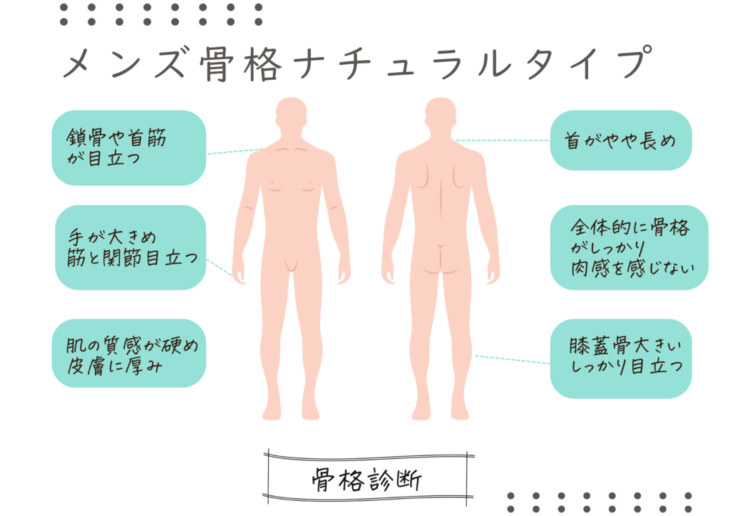 メンズ骨格診断　メンズ骨格ナチュラルタイプ　体の特徴